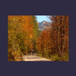 2012-10-20_Fall_AQUILA (047).JPG